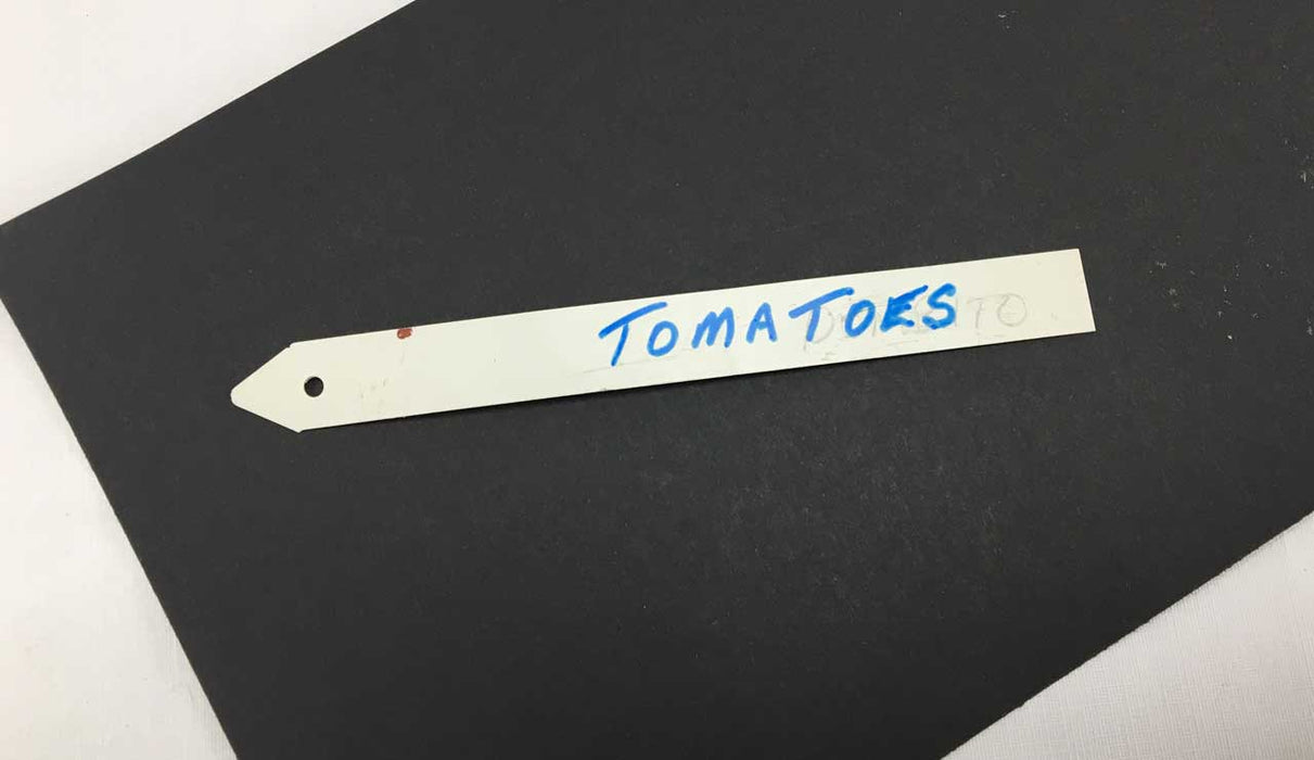 Tomato plant  label  