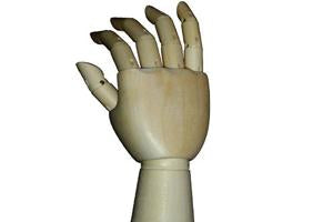 Manikin - Hand