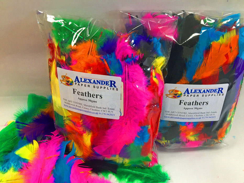 2 bags of coloured feathers