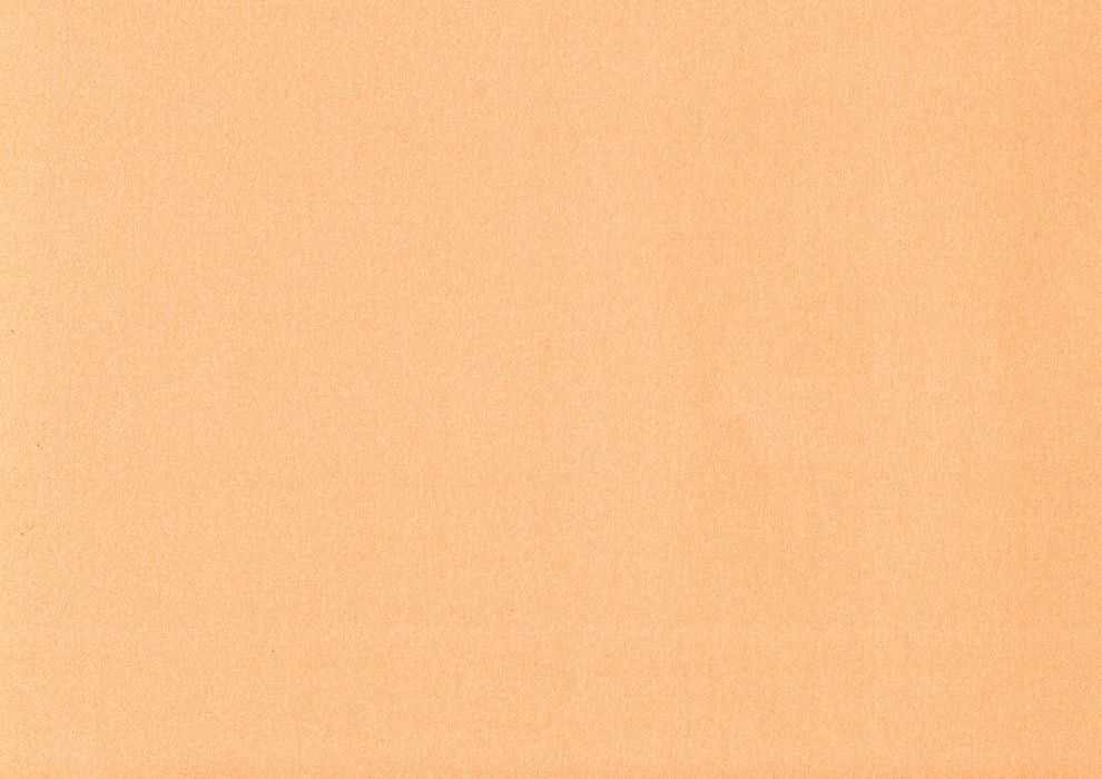 Poster frieze paper coloured  peach